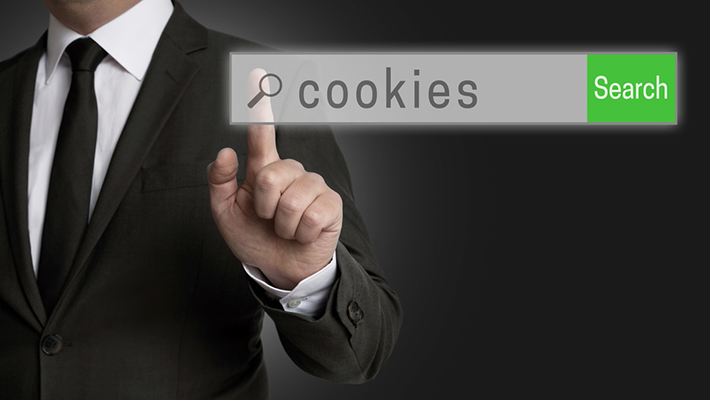 Qué son las cookies? | ¿Afectan a la privacidad?